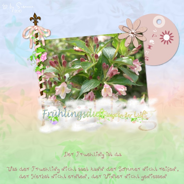 Woche 11