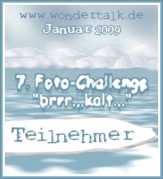 Foto-Challenge "brrr kalt"