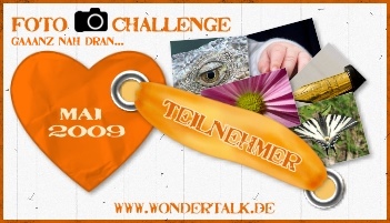 Fotochallenge "Ganz nah dran"