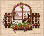Countryfenster