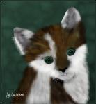 Katze