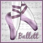 Ballettschuhe