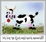 Bappy-Kuh