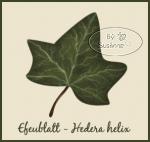Lektion 24 Teil 1