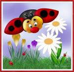 Buggy