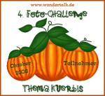 Foto-Challenge Krbis