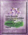 Goanita