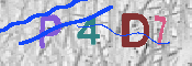 CAPTCHA-Bild