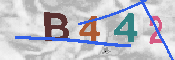 CAPTCHA-Bild