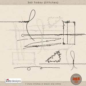 365Today-Stitches